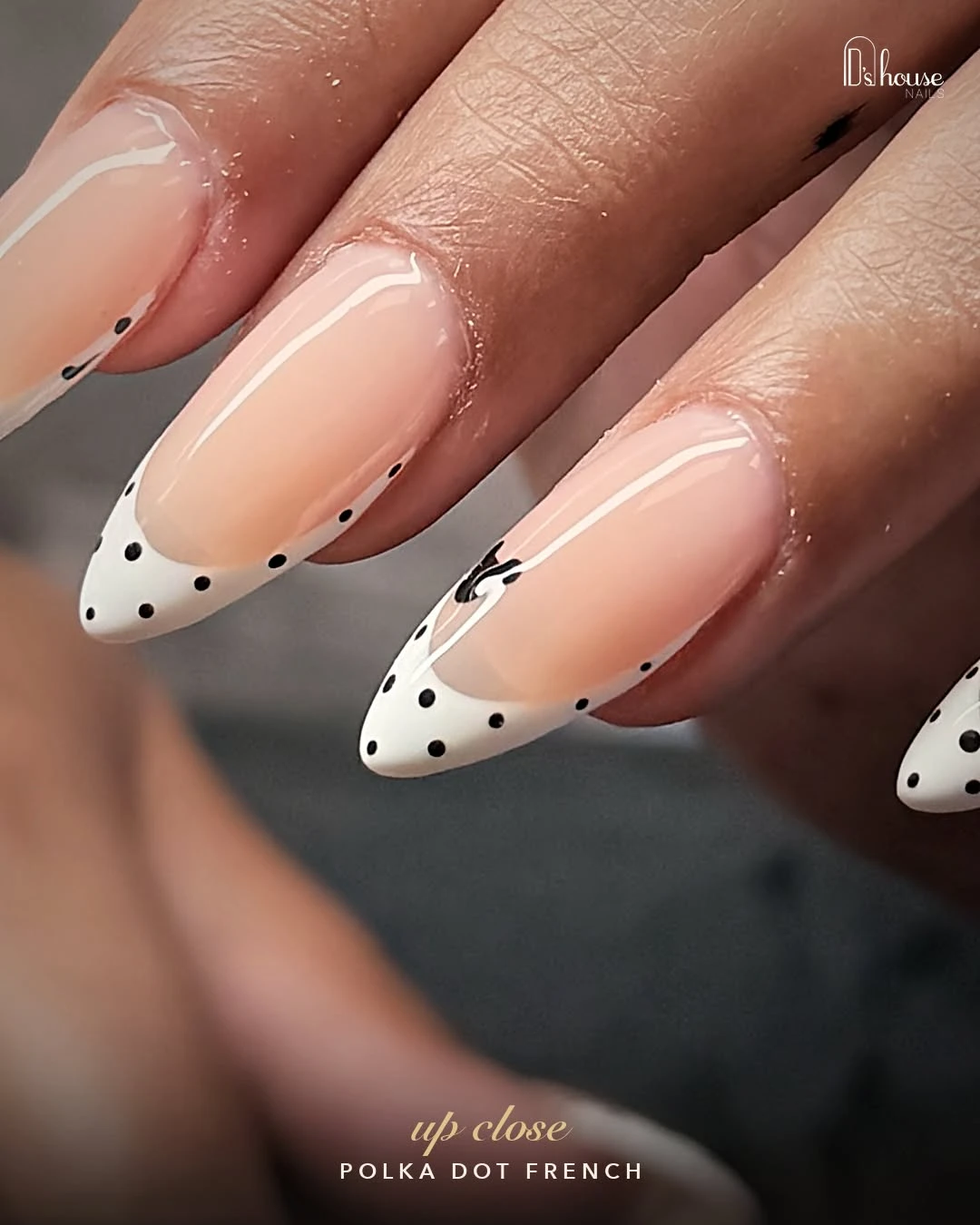 D's House Nails Pleasant Hill, CA 94523